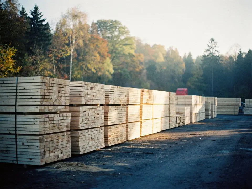 Timber yard with neatly stacked sawn planks and a forest edge behind