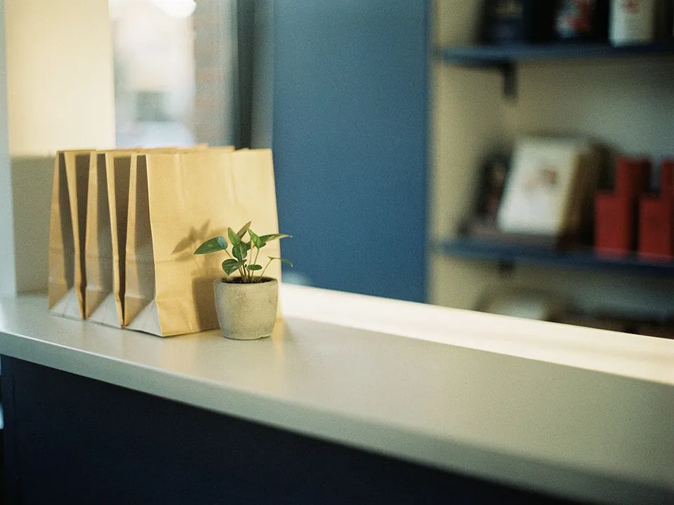 Tidy shop counter with paper bags and a small plant in warm light